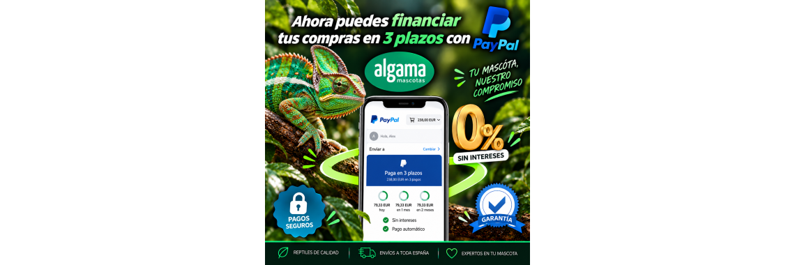 Paypal